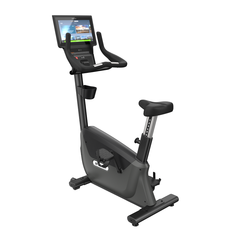 Precor 600 Line Upright Bike