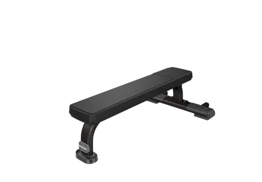 Precor Flat Bench DBR0101