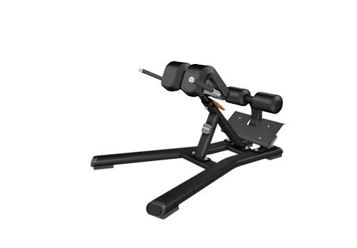 Precor Back Extension DBR0312