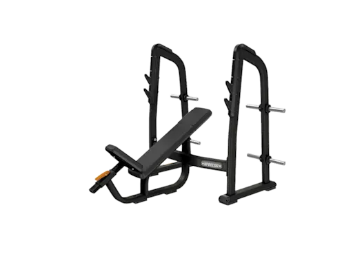 Precor Olympic Incline Bench DBR0410