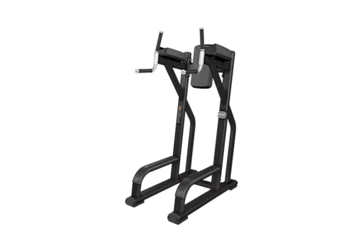 Precor Vertical Knee-Up DBR0702