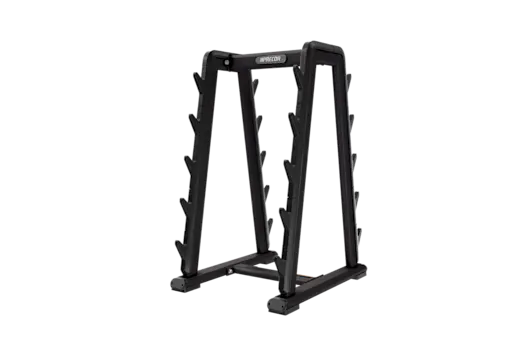 Precor Barbell Rack DBR0808