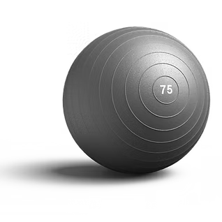 Dynamic Physio Ball