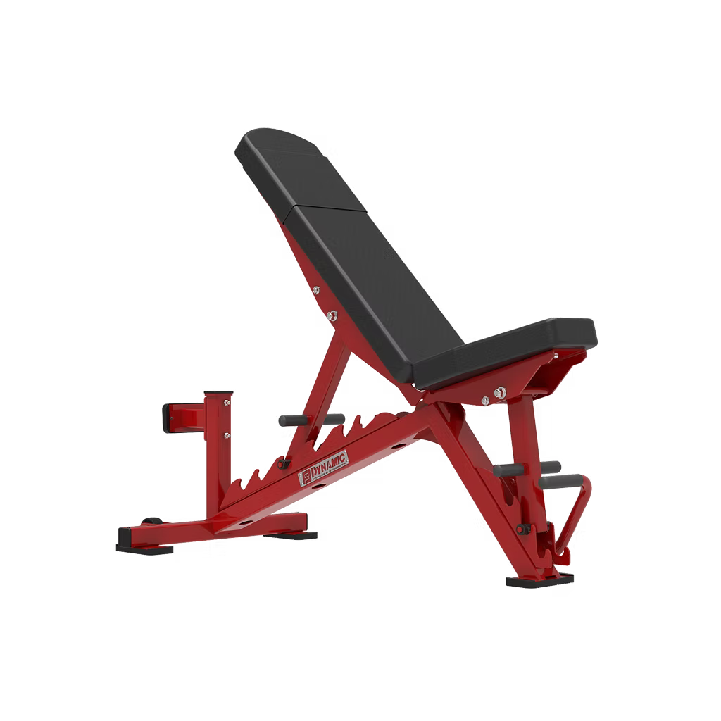 Dynamic Ladder Bench W/ Standup