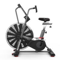 Schwinn Airdyne AD7