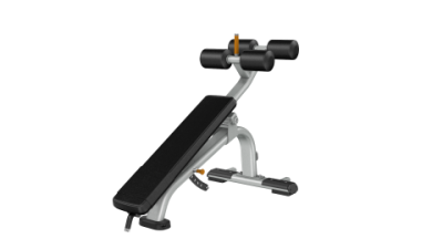 Precor Discovery Adjustable Decline Bench