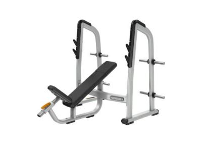 Precor Discovery Olympic Incline Bench